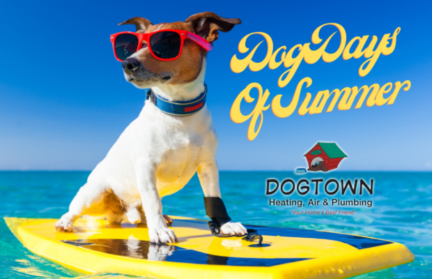 Vote In The Dog Days of Summer! Vote In The Dog Days of Summer!