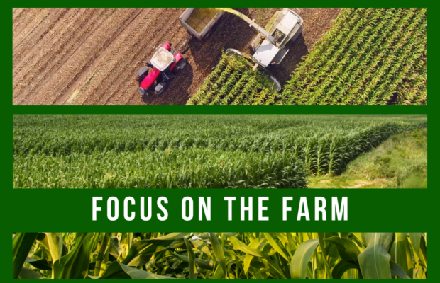Focus on the Farm